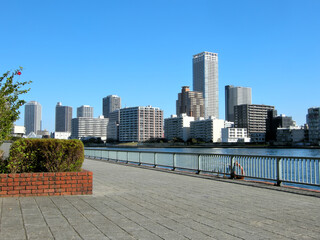 Naklejka premium 東京都中央区築地の風景