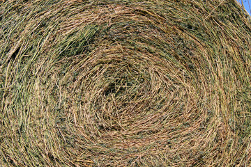 hay background