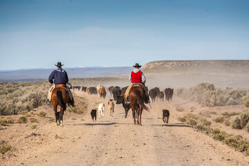 Two cowboys on their horses, moving cattle to an adjacent desert pasture on the ZX Ranch near Silver Lake, Oregon. - obrazy, fototapety, plakaty