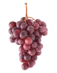 Bunch of red grapes on a stem isolated on white background