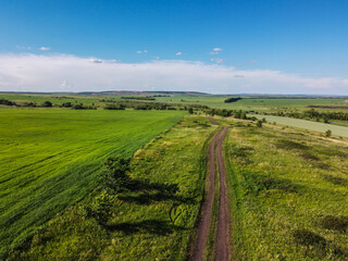 aerial view over field with green grass and empty gravel road during sunny summer day, Samara region, Russia
