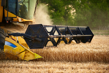 Cutting bar unit or reaper machine cuts stems. Combine harvester working in wheat field. Harvesting...