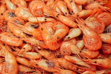 Shrimps background. Palaemon elegans european rockpool shrimp. Fresh prawn. Seafood background.