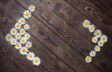 white daisies on old wooden background