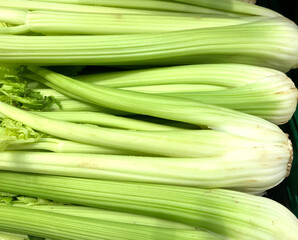 Raw, Organic, fresh celery from the market.
