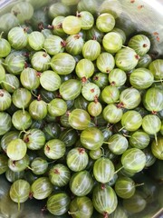 Gooseberries in bowl close-up directly above