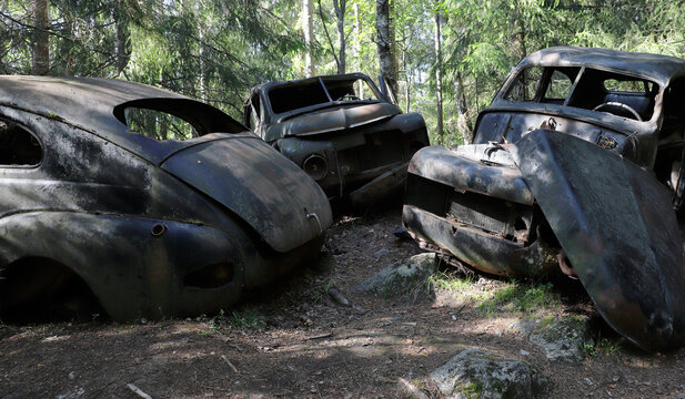 Three Abandoned Cars In A De Facto Car Cemetery.