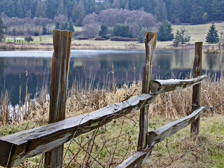 This nature landscape is a wet, wood split rail fence near a small lake with evergreen trees in the background.  Taken on Orcas Island, Washington.