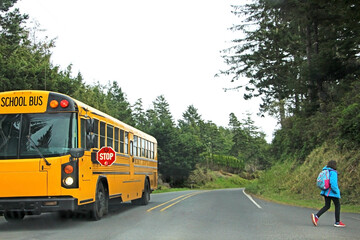 Yellow American school bus waiting for girl until she crosses the forest road. Stop sign for other...