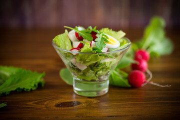 spring salad with arugula, boiled eggs, fresh radish, salad leaves in a glass bowl