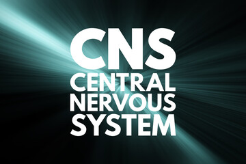 Obraz premium CNS - Central Nervous System acronym, medical concept background