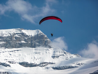 Paraglider with the Swiss Alps in the backgorund