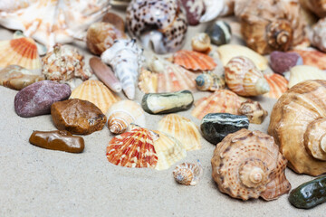 Seashells, sea stars, coral and stones on the sand, summer beach sea background travel concept.