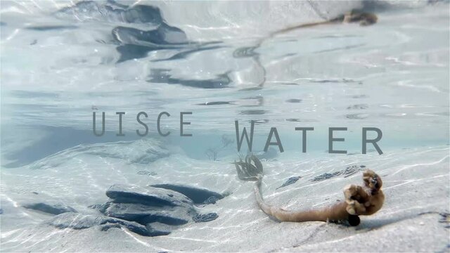 Underwater ecording of the writing water in English and Irish