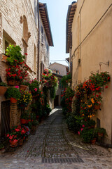 Fototapeta na wymiar alleys of spello decorated with plants and characteristic flowers