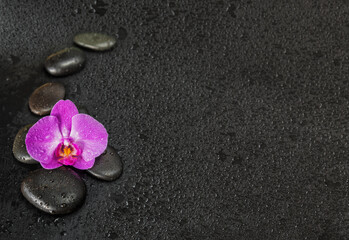 Spa-concept with zen stones and orchid flower