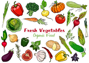Ripe, fresh vegetables with aromatic herbs on a white background. Food collection.
Stock vector.