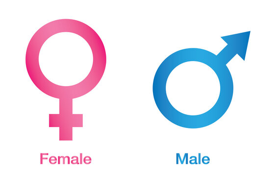 Vector illustration of gender icon man and woman. Sex symbol. Gender icon male and  female symbol. Gender symbol pink and blue icon