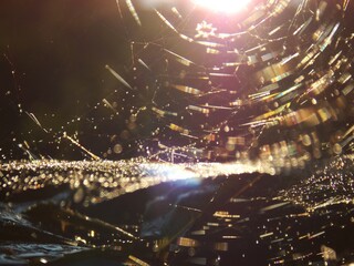 a spider web illuminated by the sun