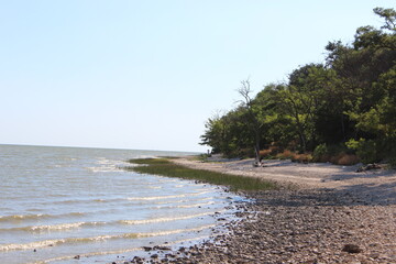 beach in the morning