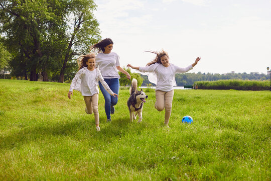 Happy Family And A Dog Running Through The Grass Have Fun Playing In The Park Weekend.