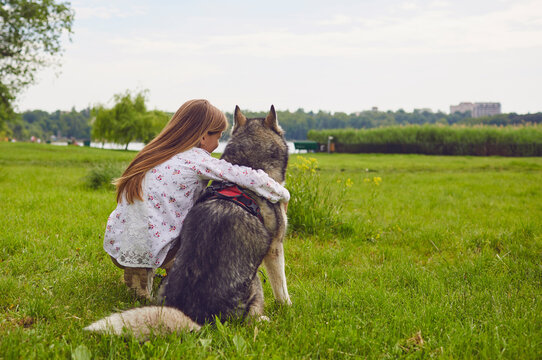 Little girl hugging Husky dog while sitting in fleid and enjoying beautiful view. Friendship between pet and owner