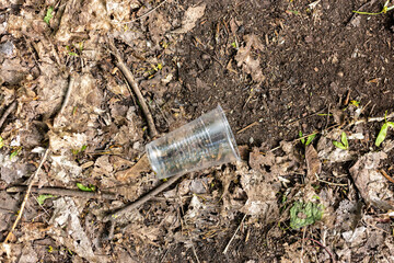 Plastic cups scattered on the ground in the forest