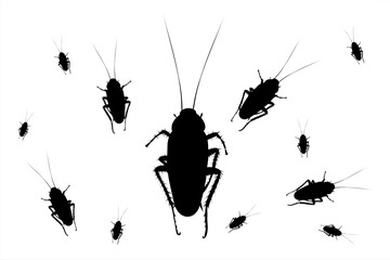 Vector silhouette of group of cockroach. Symbol of insect.