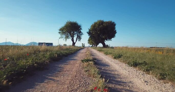 chemin en Provence - France