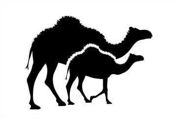 Vector silhouette of family of camel. Symbol of desert animals.