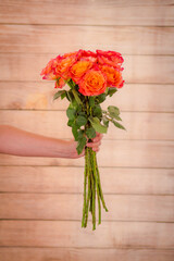 Women hand holding a bouquet of Free Spirit roses variety, studio shot.