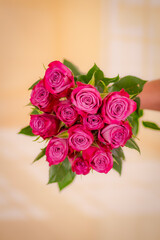 Women hand holding a bouquet of Moody Blues roses variety, studio shot.