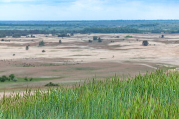Green vivid green grass with desert dry valley view. Kitsevka desert hilly sands in Ukraine, Kharkiv region landscape