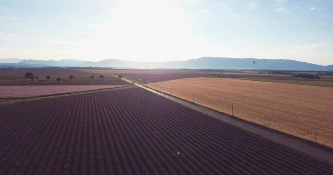 ligne droite au lever du soleil sur le plateau de Valensole 