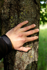 Male hand on a tree trunk.