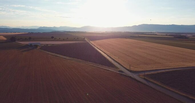 lever de soleil en &eacute;t&eacute; sur le plateau de Valensole - Provence 