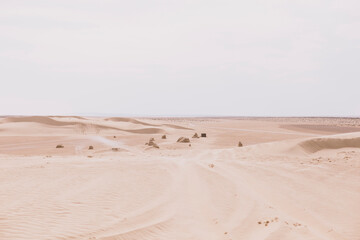 Fototapeta na wymiar Landscape of endless desert with red sand with traces of a safari. 