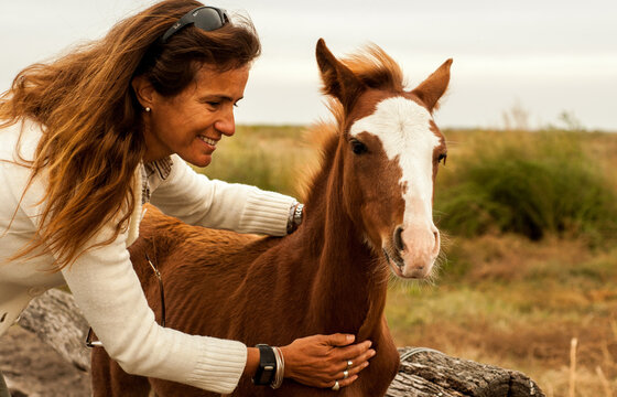 Mujer, potrillo, potro, campo, animal, nobleza, confianza