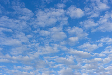 White clouds on a blue blue sky.