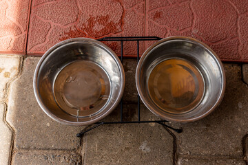 Steel plates with water for a dog