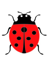 Cute little ladybug as sign of good luck and good fortune with red wings and seven black dots on the back shows the natural luck, hope and fortune as beetle insect as scalable vector graphics