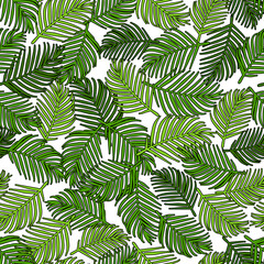 Palm leaves, green black outline, over white background, interlaced.