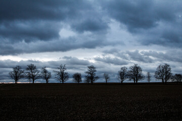 Fototapeta na wymiar Dark Clouds over trees