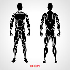 Body Type Ectomorph. Front and back view. Vector illustration