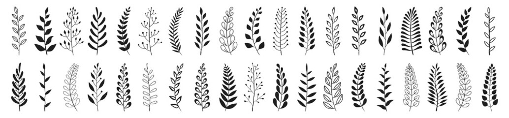 Fototapeta premium Set of black laurels branches. Flower ornament dividers collection. Vintage laurel wreaths. Hand drawn vector laurel leaves decorative elements. Leaves, swirls, award, icon. Vector illustration.
