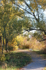 Obraz premium autumn in the park