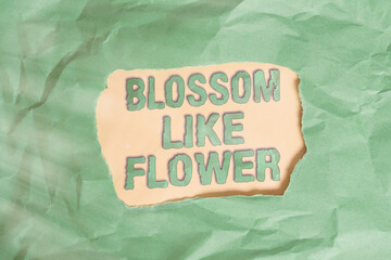 Writing note showing Blossom Like Flower. Business concept for an individual with good qualities...