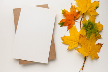 postcard mockup. autumn leaves on a white background and envelope