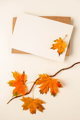 Naklejka na ściany i meble postcard mockup. autumn leaves on a white background and envelope