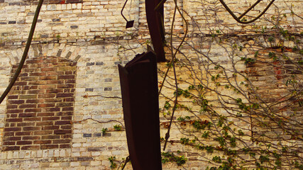 Hildebrand's Mill